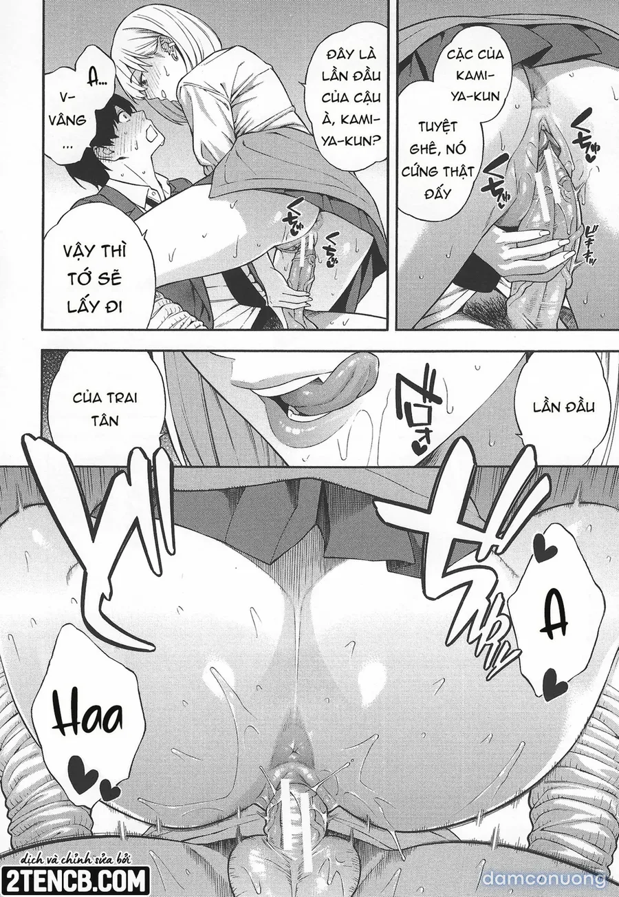 Lập dàn harem với ba chị em gyaru đanh đá 