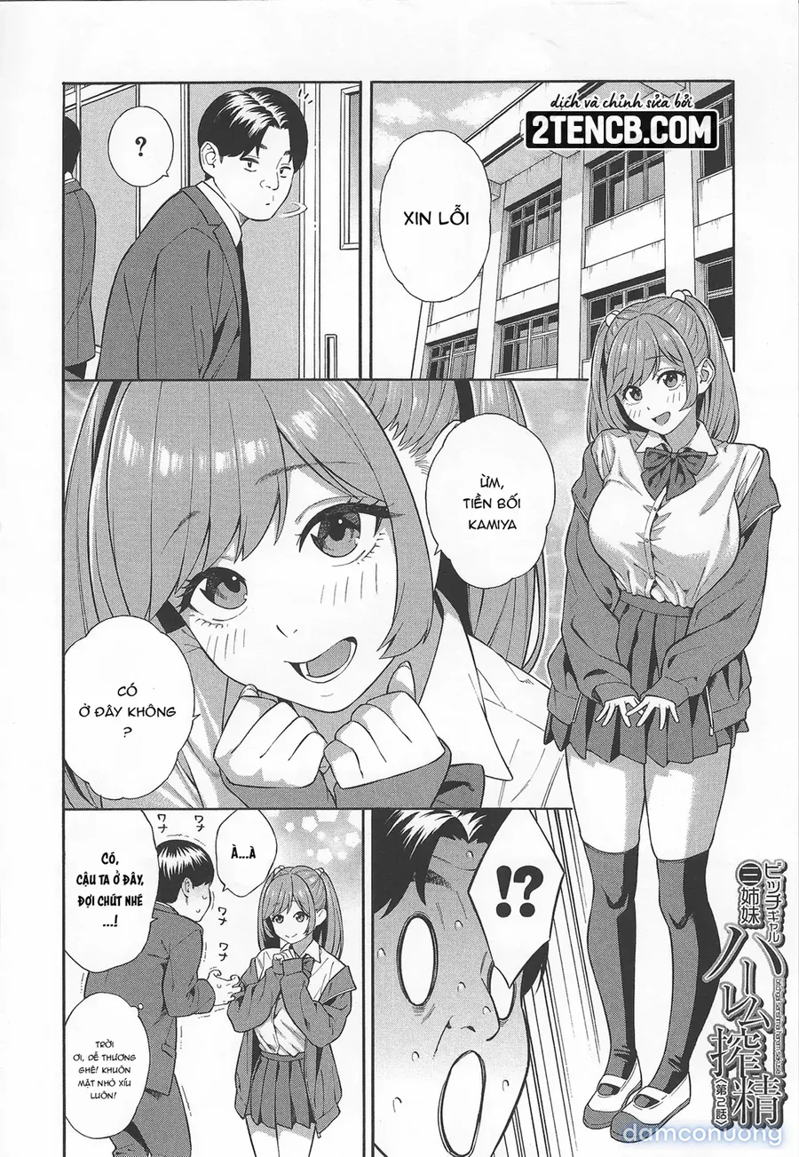Lập dàn harem với ba chị em gyaru đanh đá 