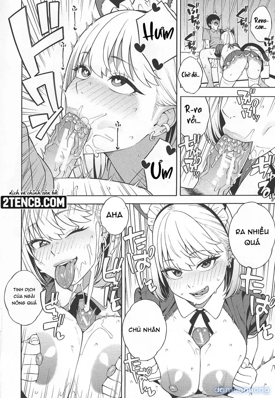 Lập dàn harem với ba chị em gyaru đanh đá 