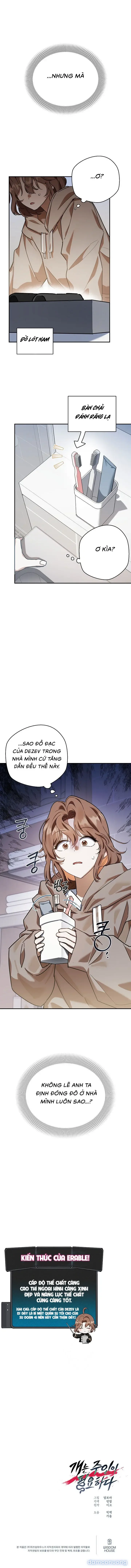Chó Cần Có Chủ 