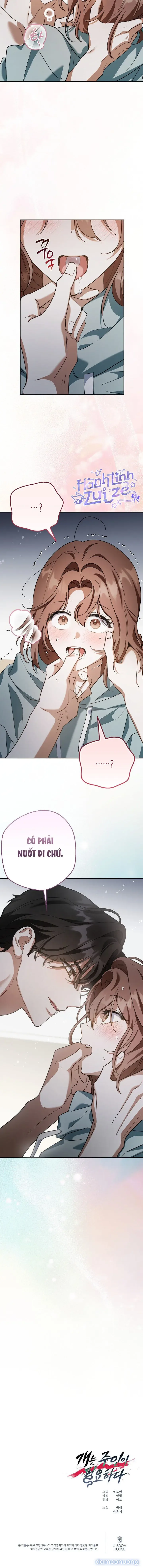 Chó Cần Có Chủ 