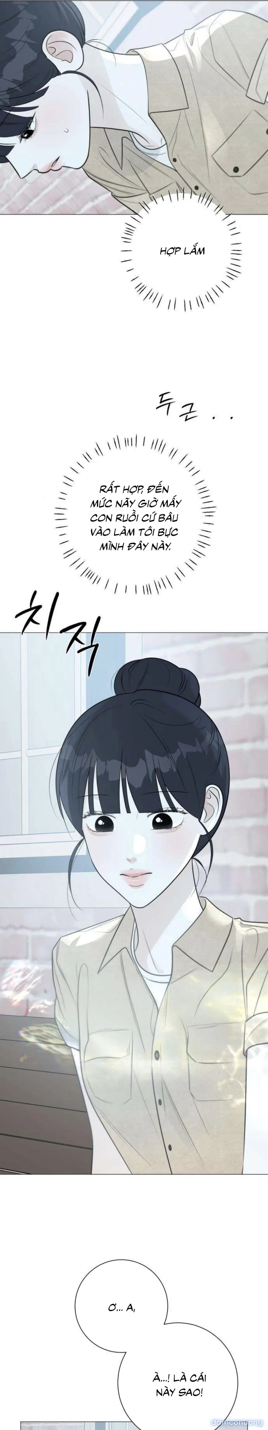 Hashtag: Mối Tình Đầu 