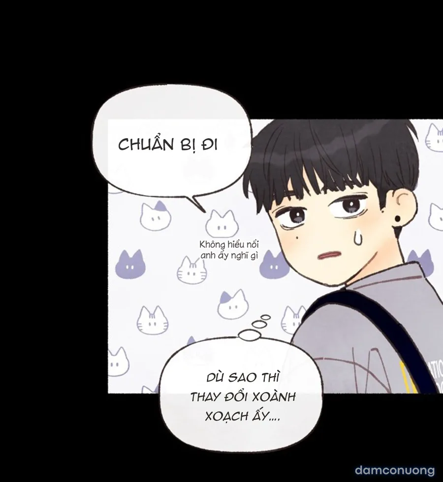 Cảm Xúc Chuyển Giao 