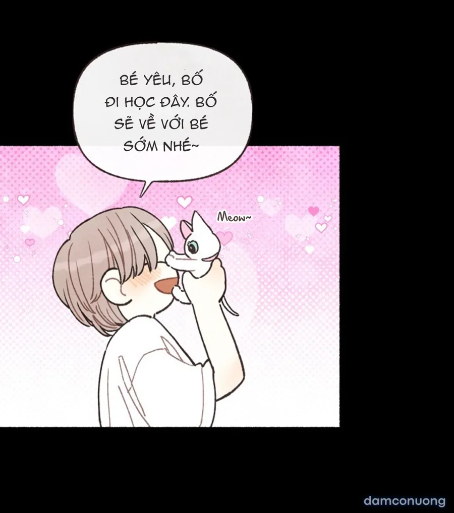 Cảm Xúc Chuyển Giao 