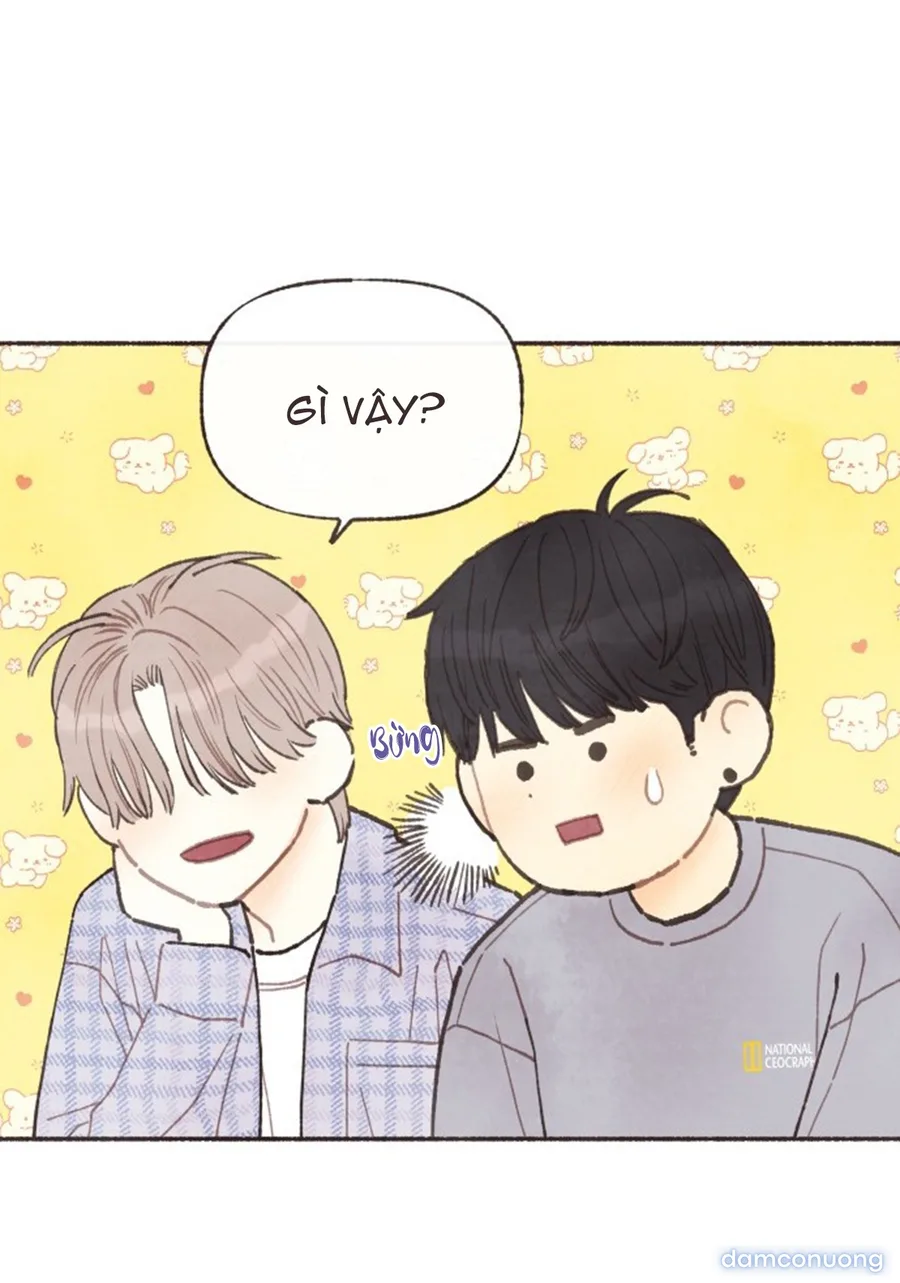 Cảm Xúc Chuyển Giao 