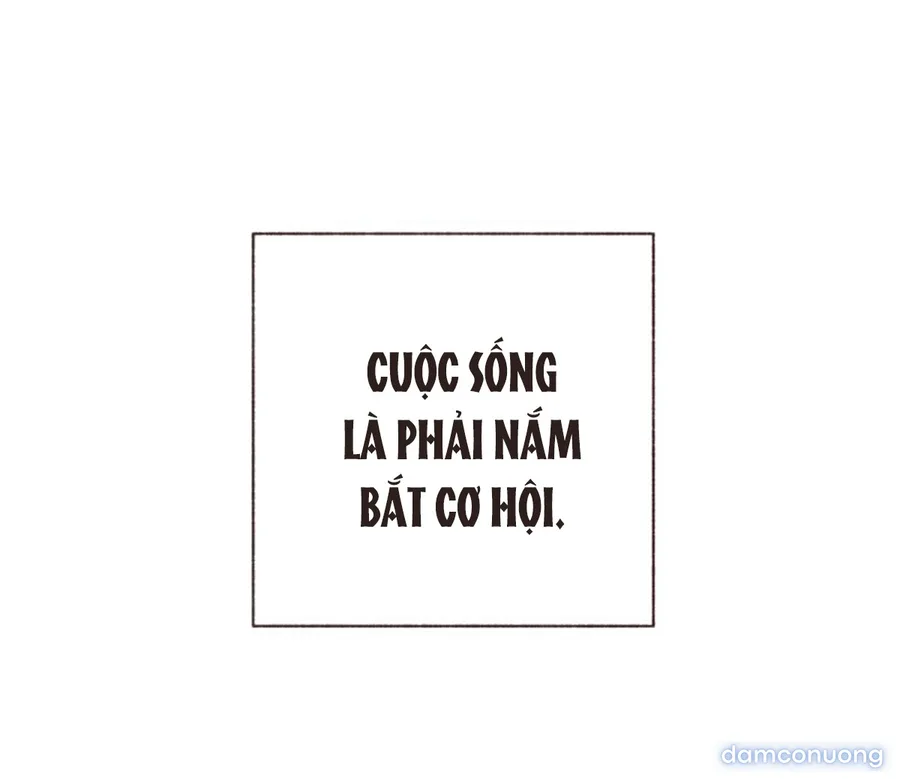 Cảm Xúc Chuyển Giao 