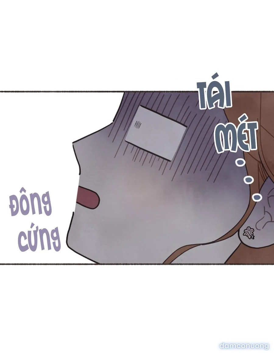 Cảm Xúc Chuyển Giao 
