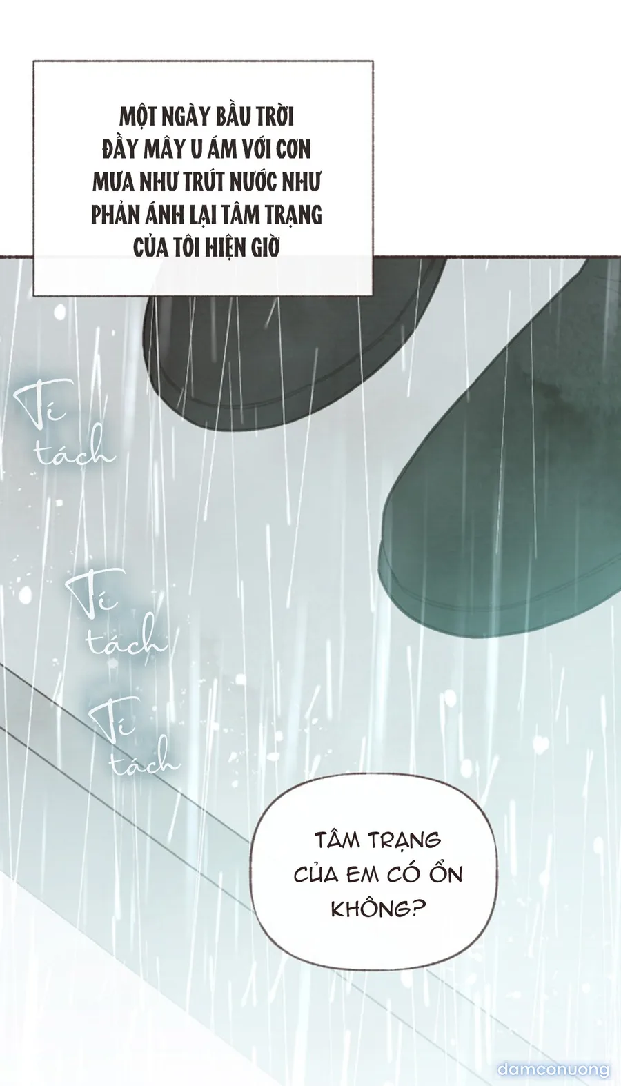 Cảm Xúc Chuyển Giao 