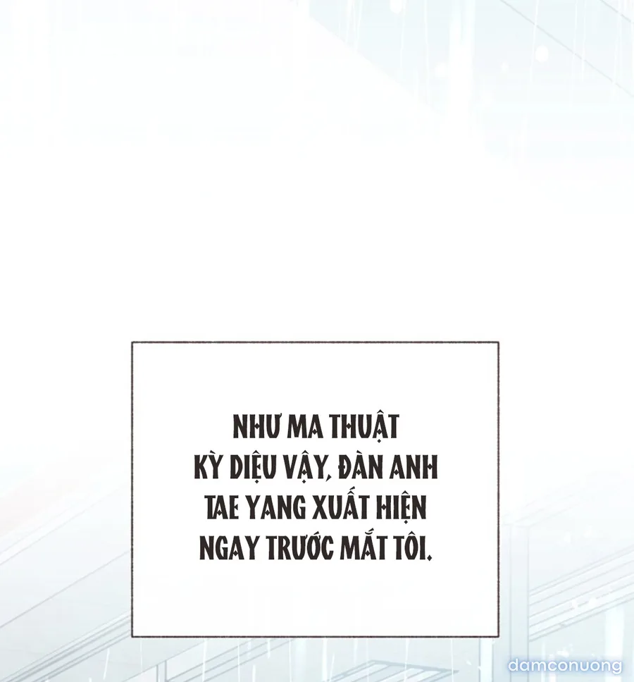 Cảm Xúc Chuyển Giao 