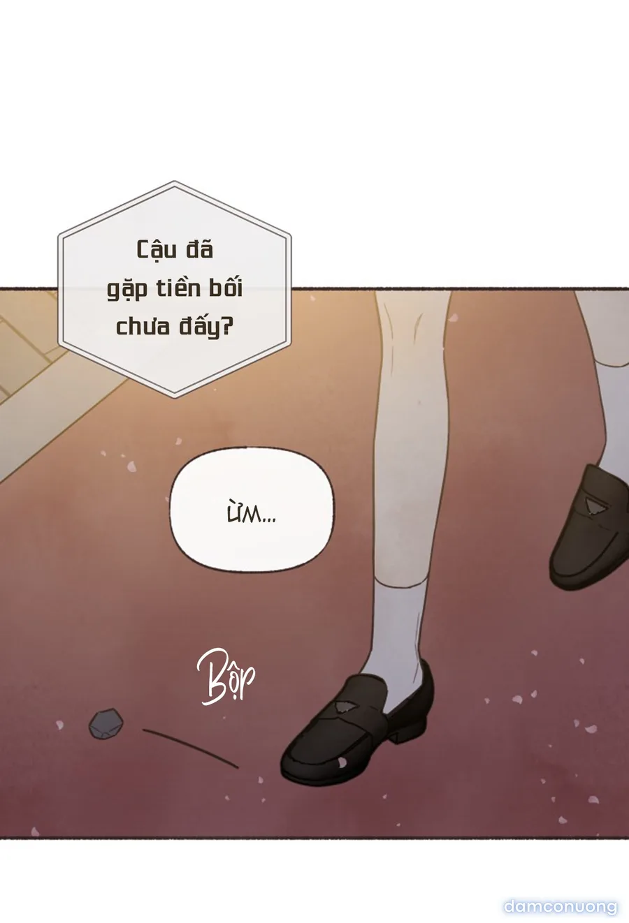 Cảm Xúc Chuyển Giao 