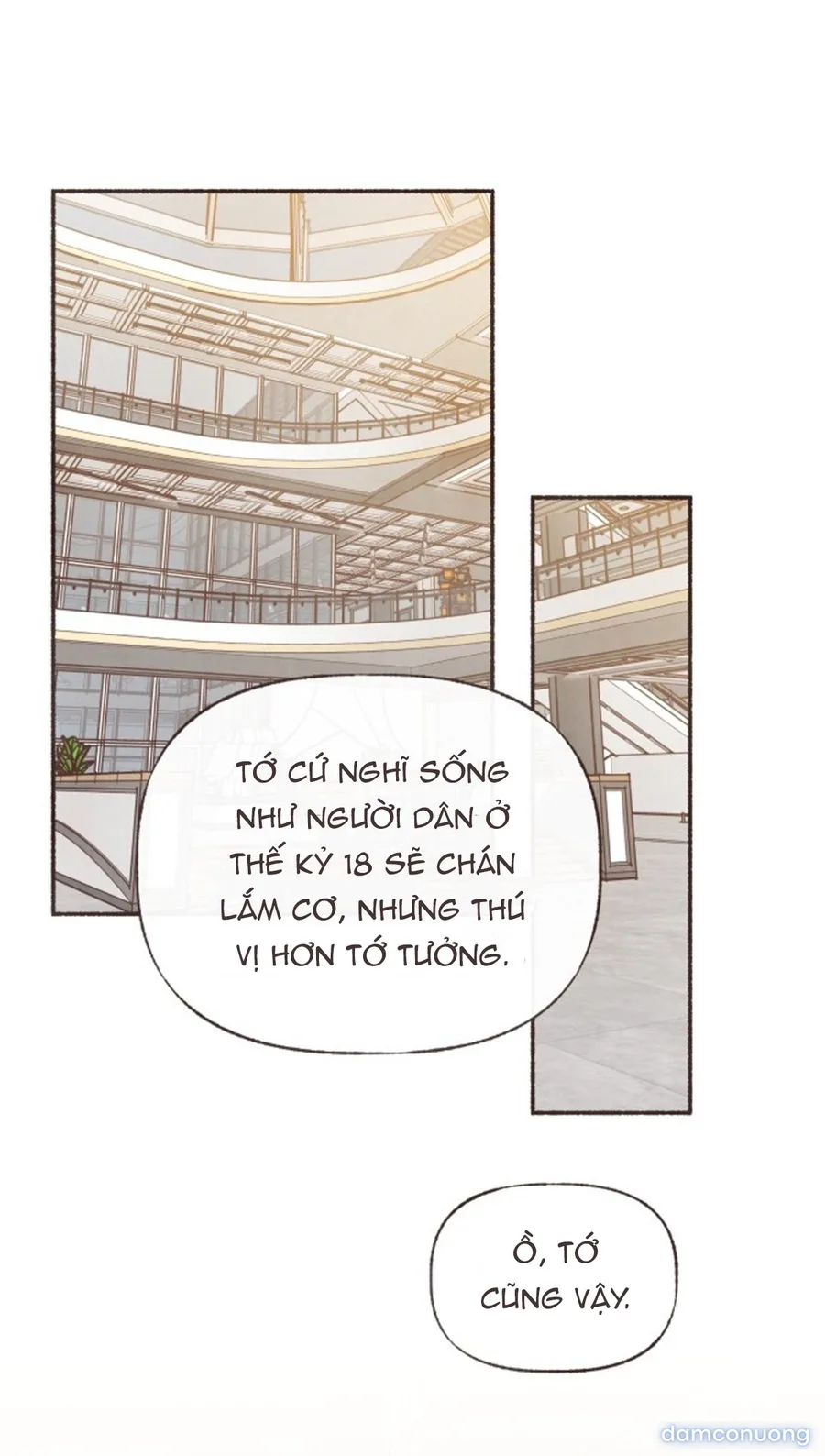Cảm Xúc Chuyển Giao 