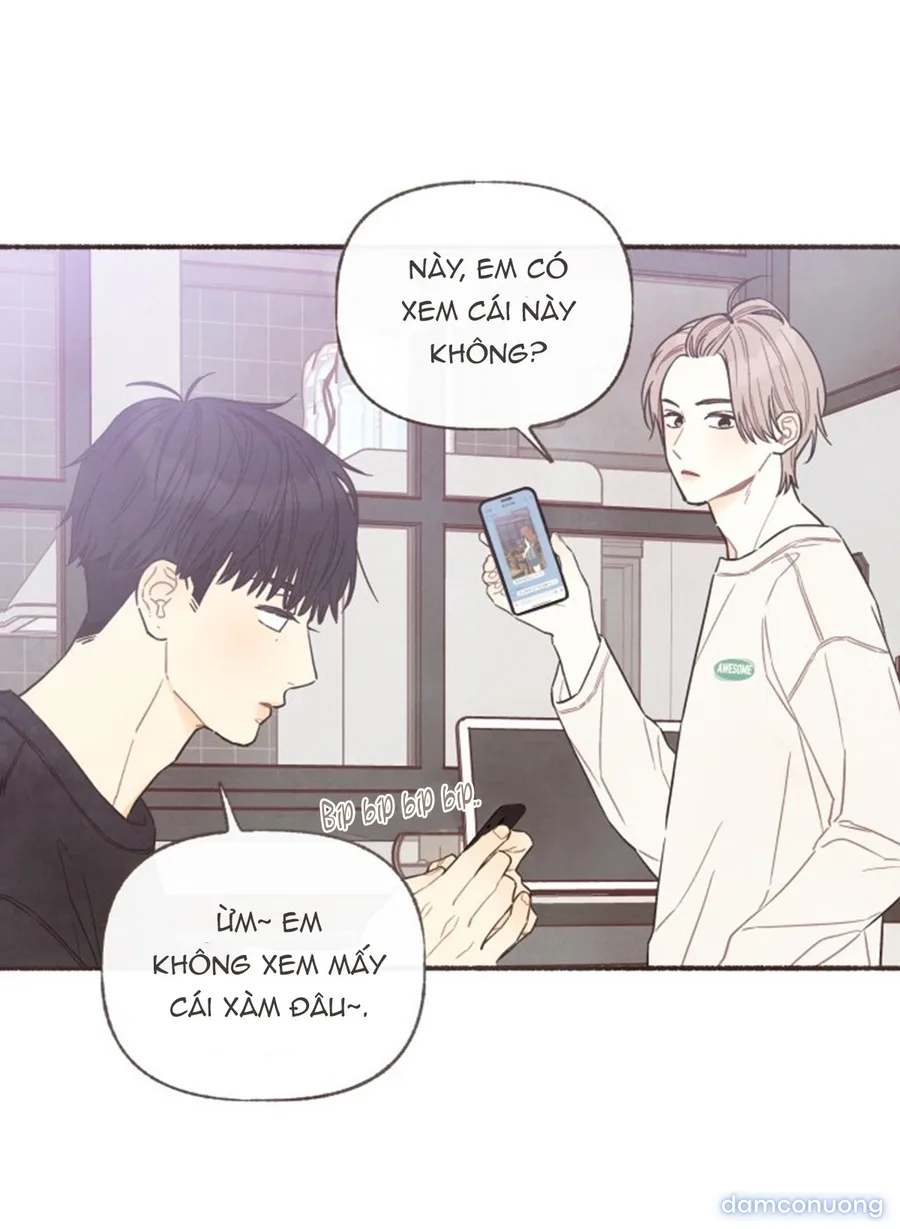 Cảm Xúc Chuyển Giao 