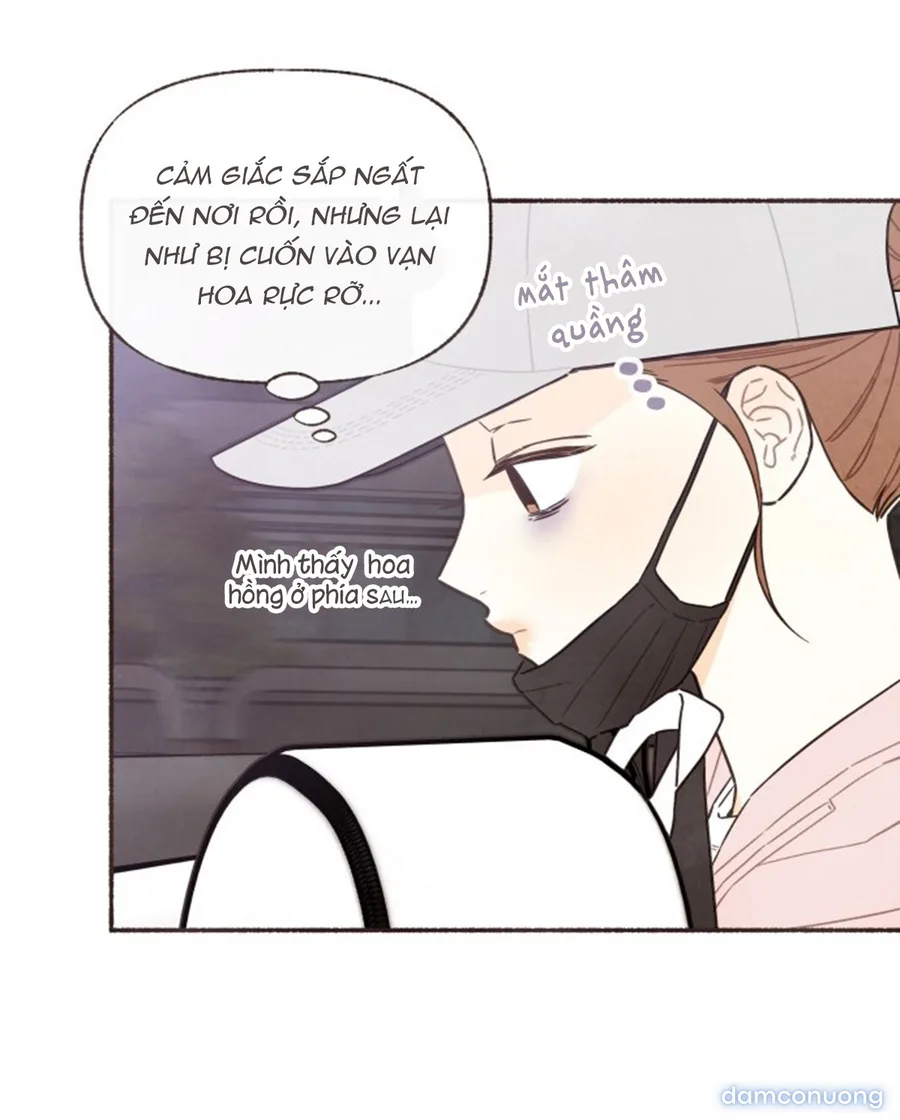 Cảm Xúc Chuyển Giao 