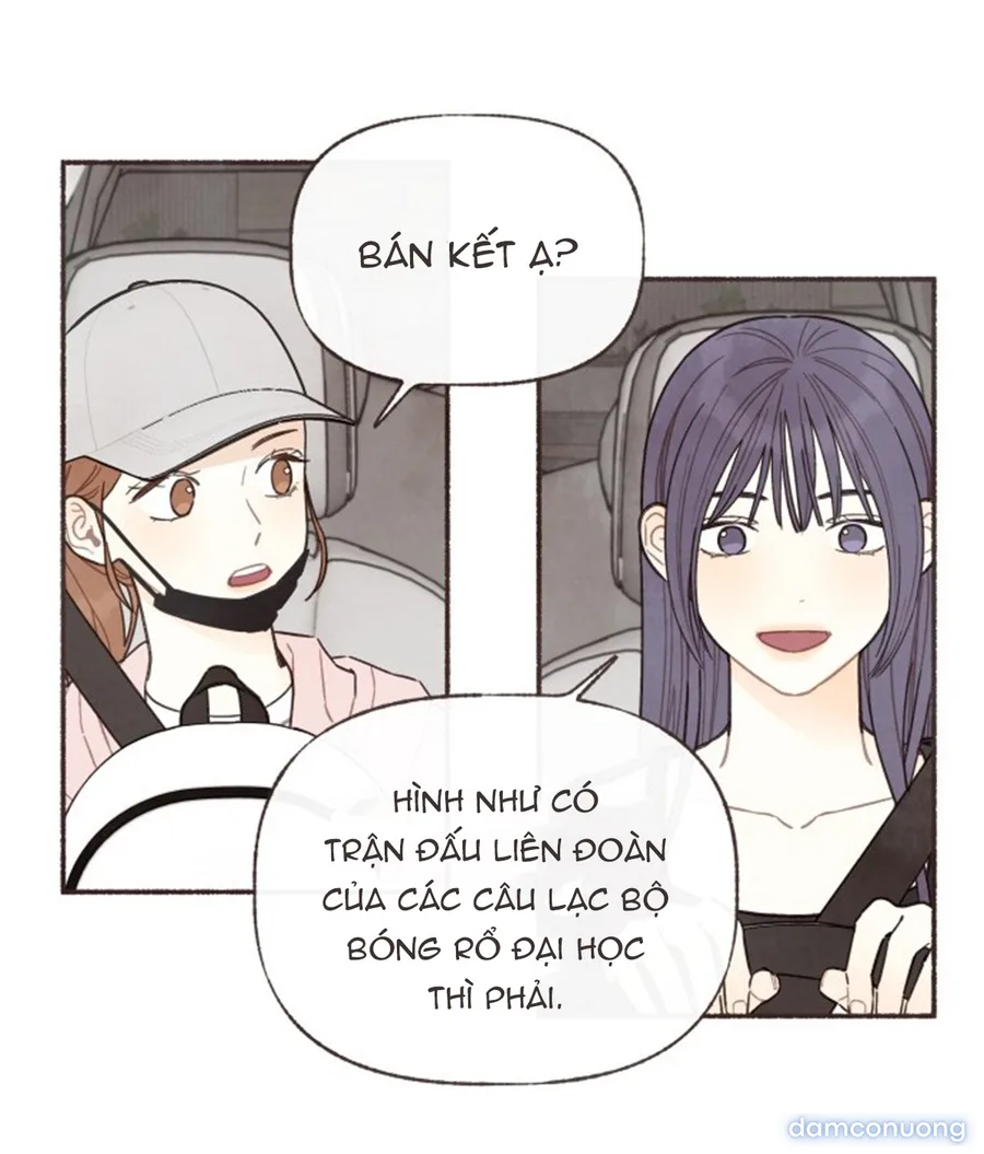 Cảm Xúc Chuyển Giao 