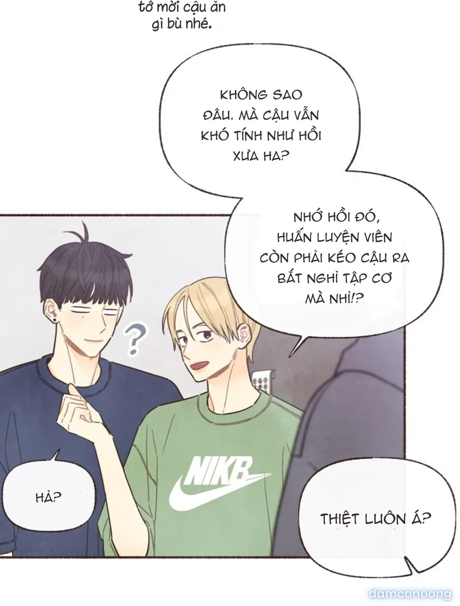 Cảm Xúc Chuyển Giao 