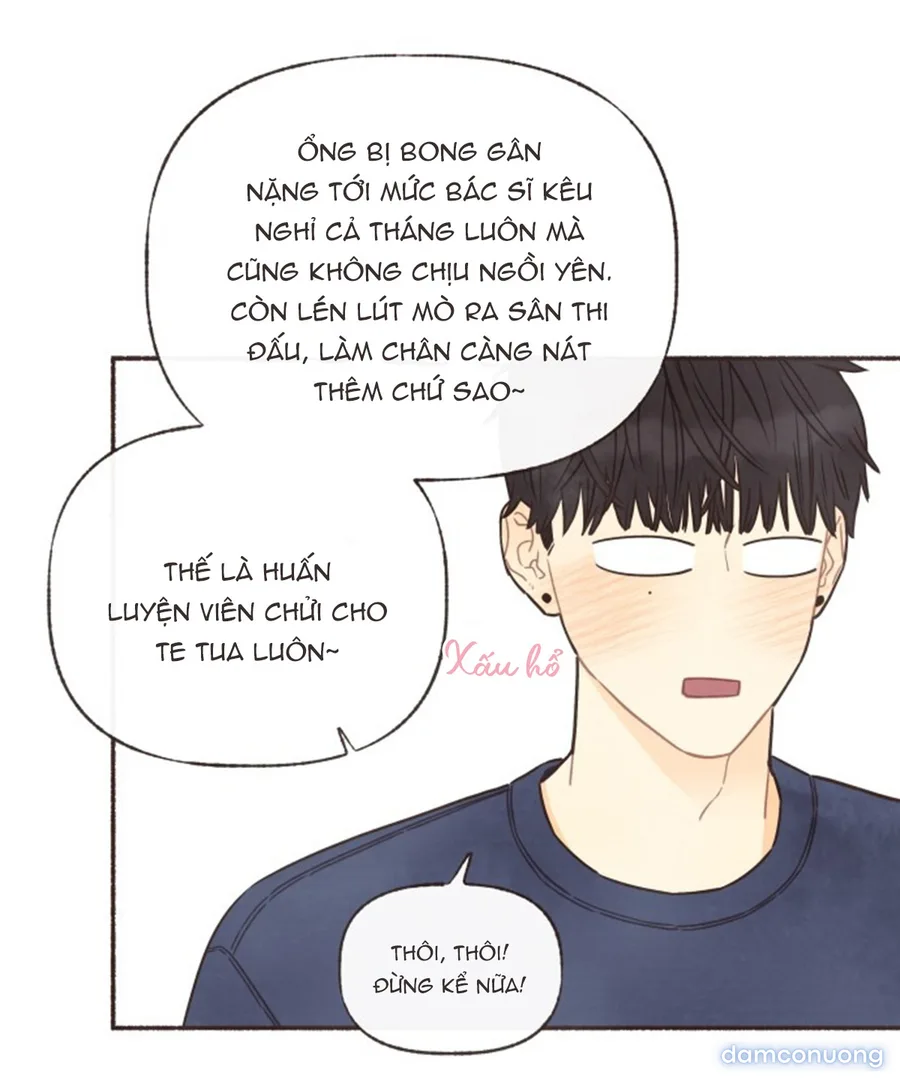Cảm Xúc Chuyển Giao 