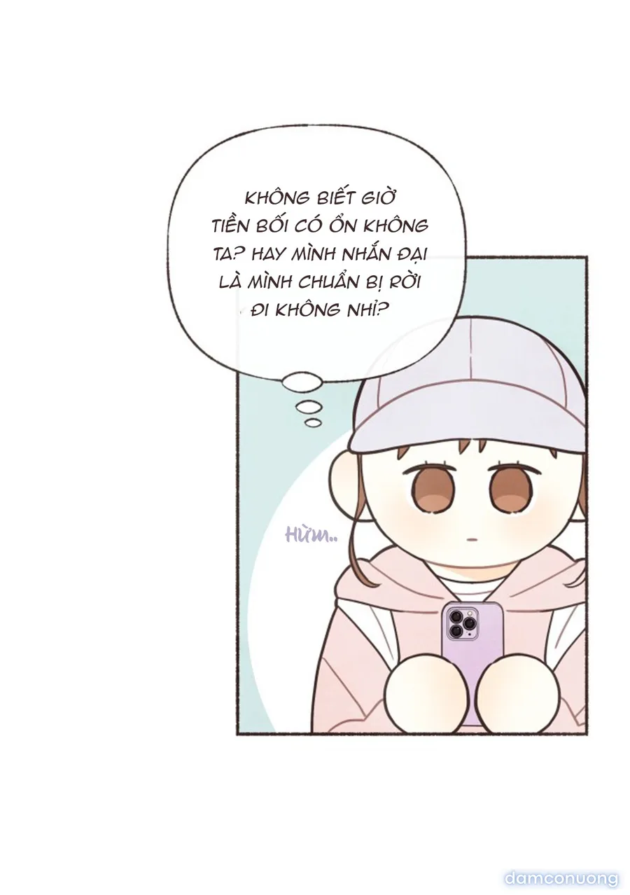 Cảm Xúc Chuyển Giao 