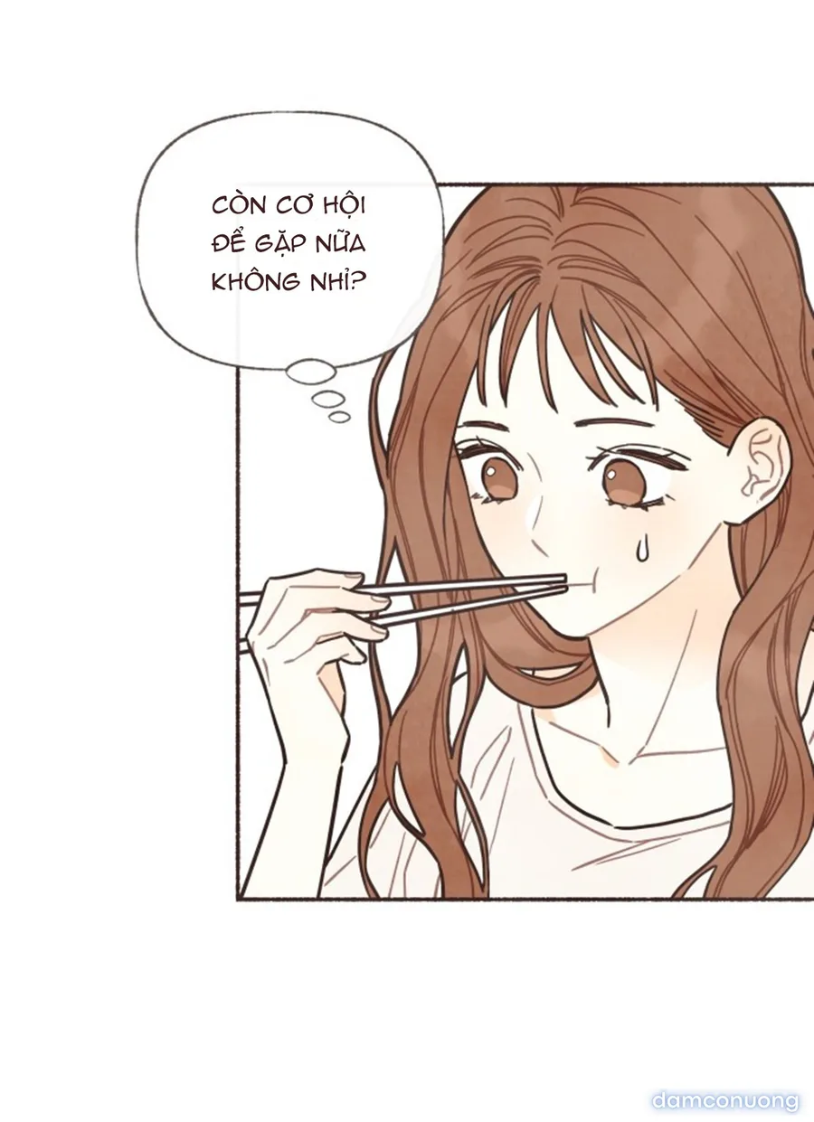 Cảm Xúc Chuyển Giao 