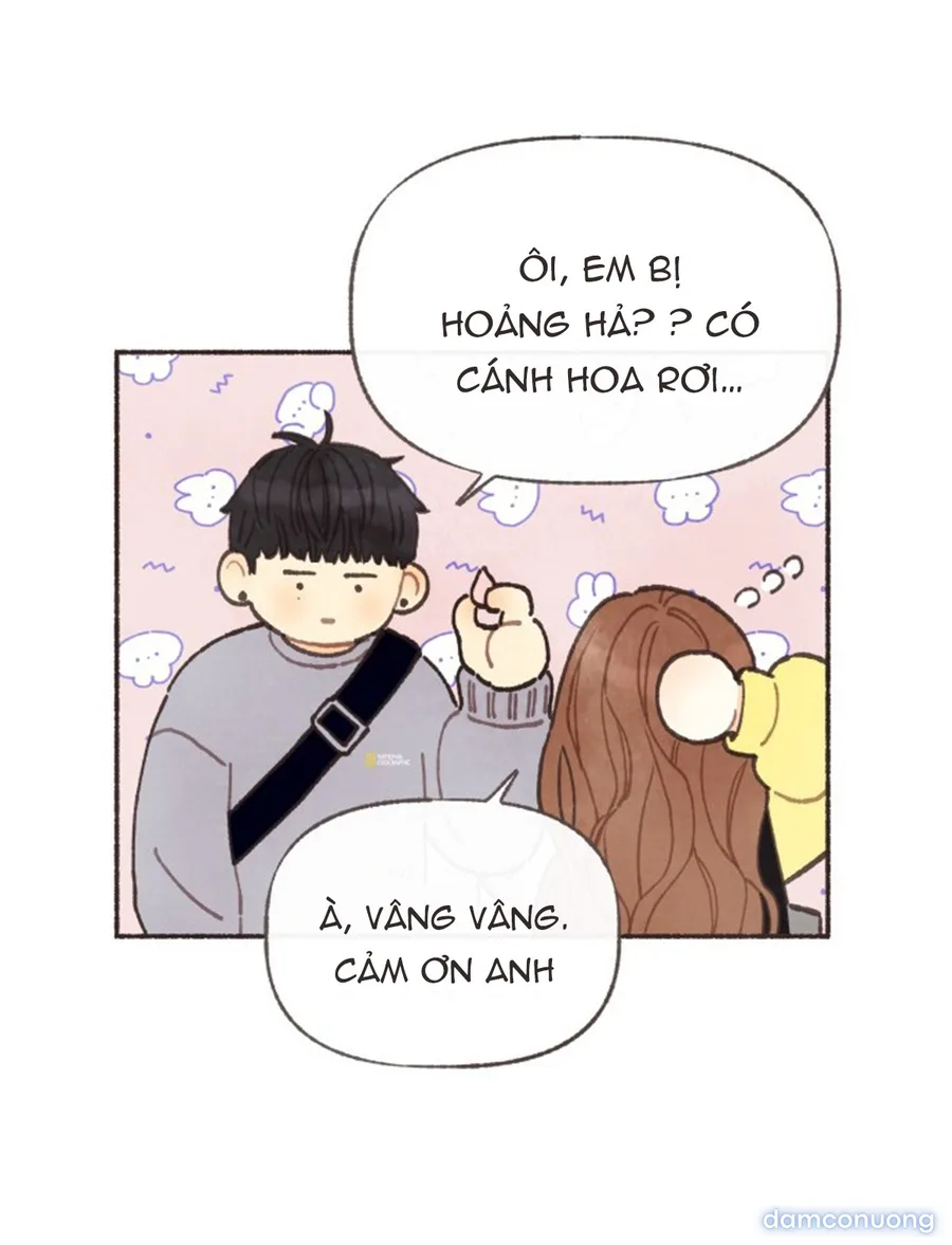 Cảm Xúc Chuyển Giao 