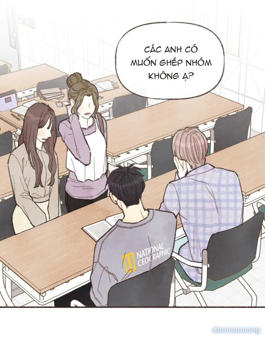 Cảm Xúc Chuyển Giao 