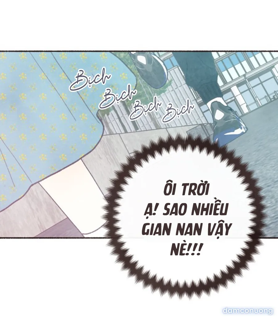 Cảm Xúc Chuyển Giao 