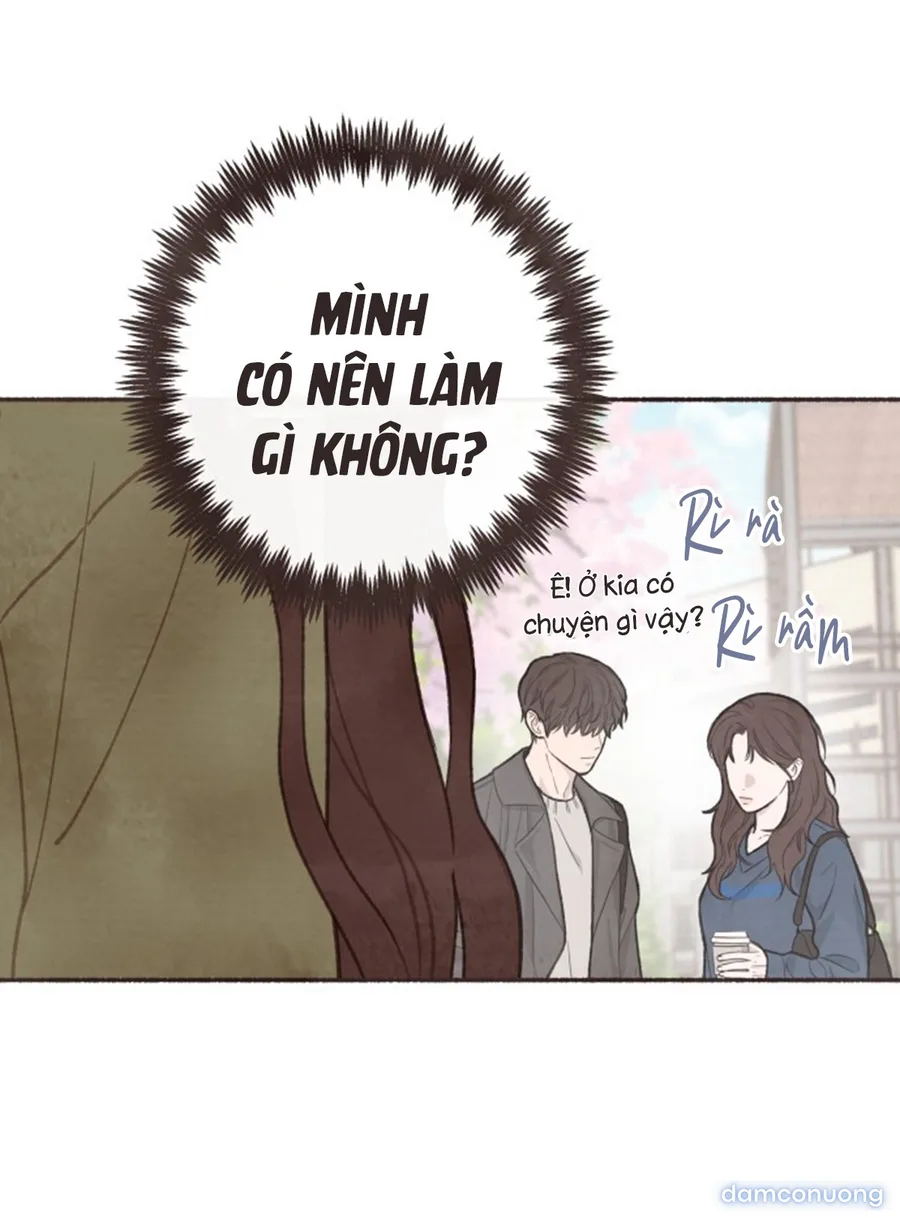 Cảm Xúc Chuyển Giao 