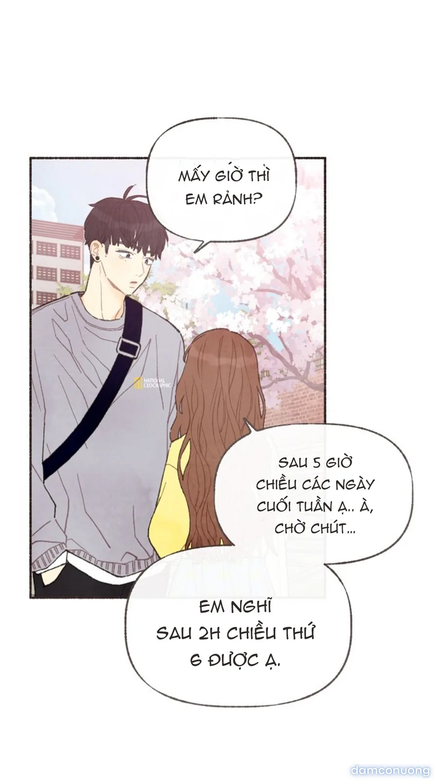 Cảm Xúc Chuyển Giao 