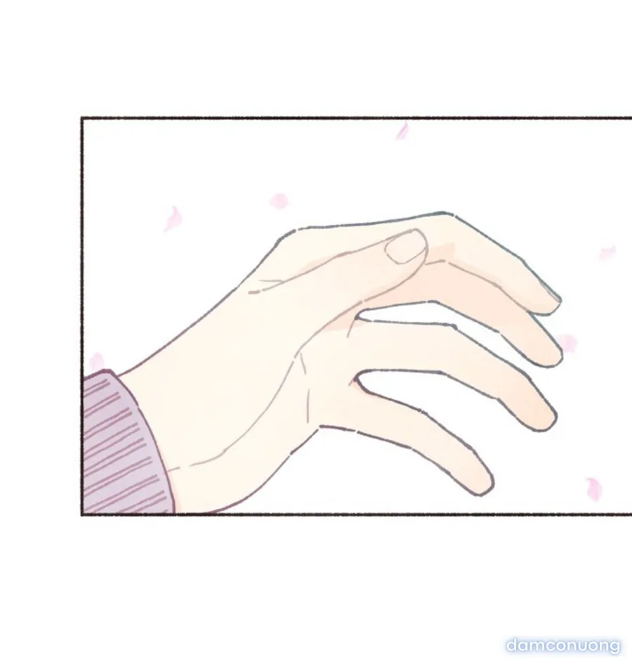 Cảm Xúc Chuyển Giao 