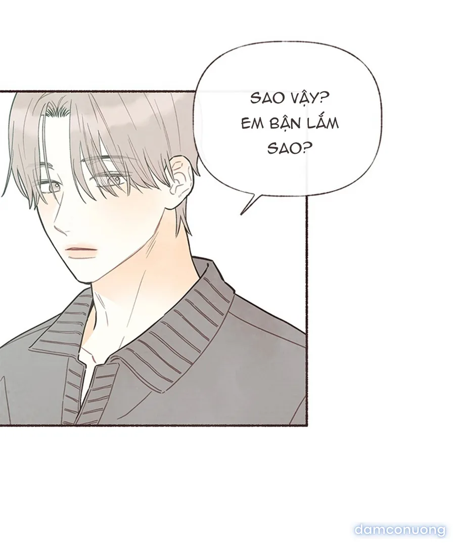 Cảm Xúc Chuyển Giao 