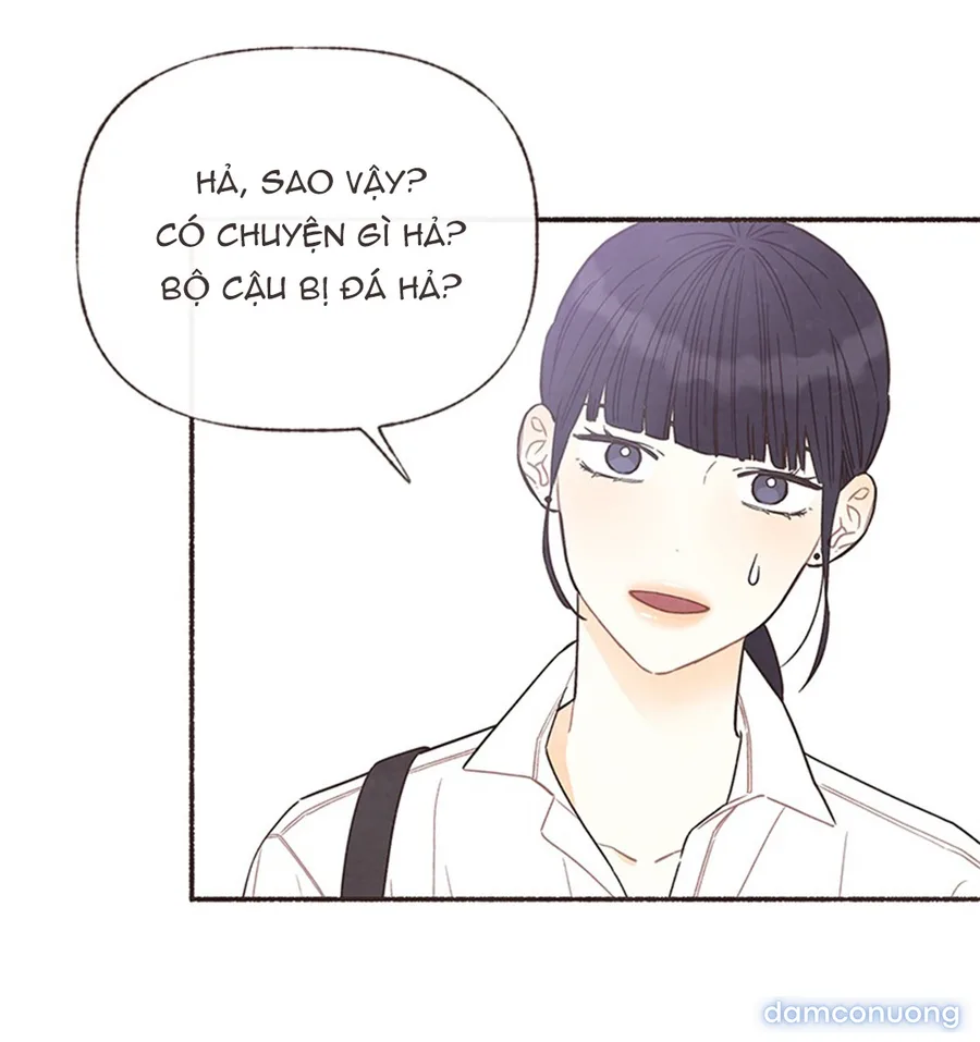Cảm Xúc Chuyển Giao 