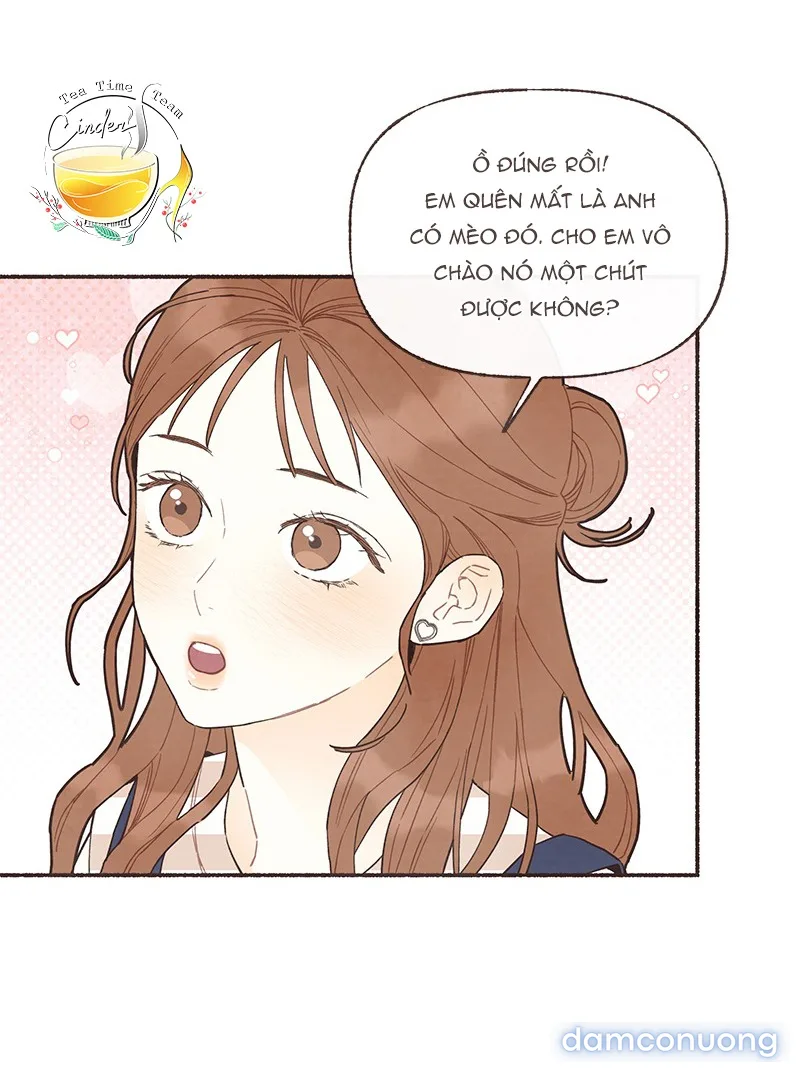 Cảm Xúc Chuyển Giao 