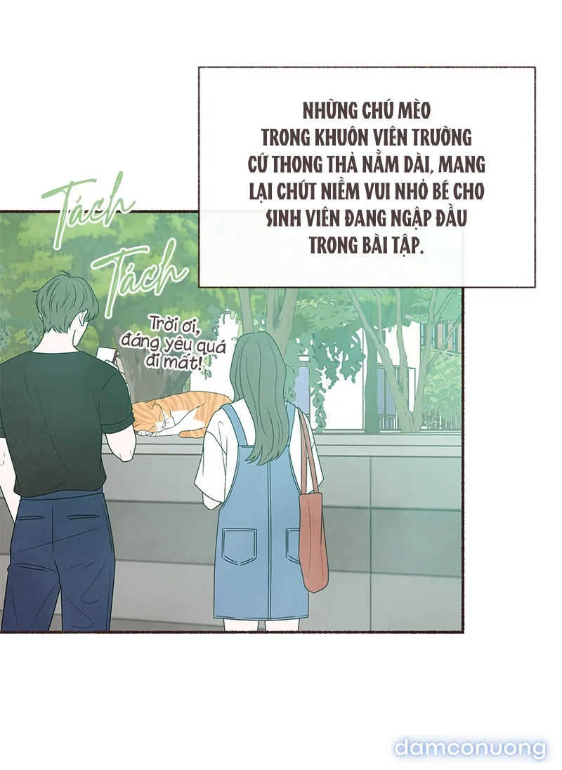 Cảm Xúc Chuyển Giao 