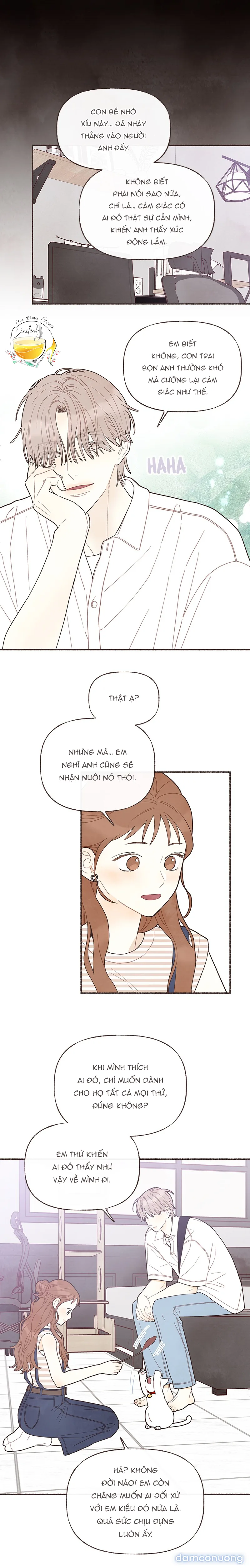 Cảm Xúc Chuyển Giao 