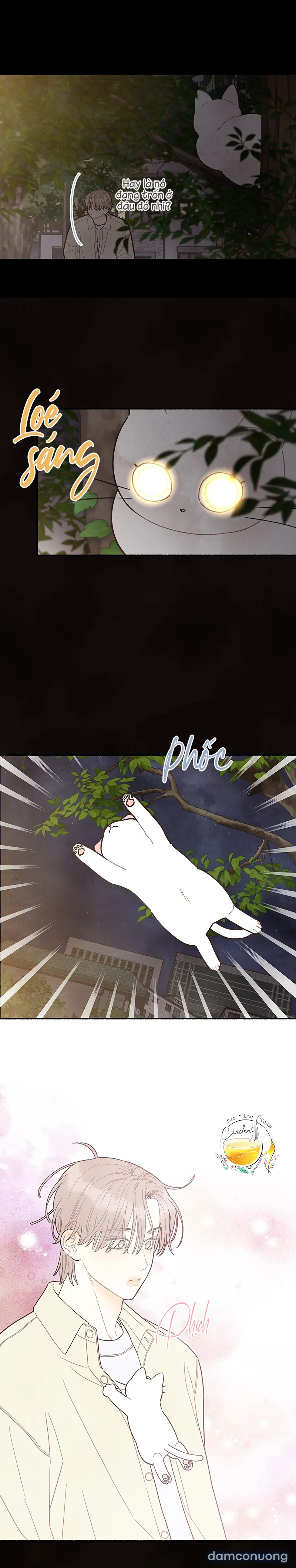 Cảm Xúc Chuyển Giao 