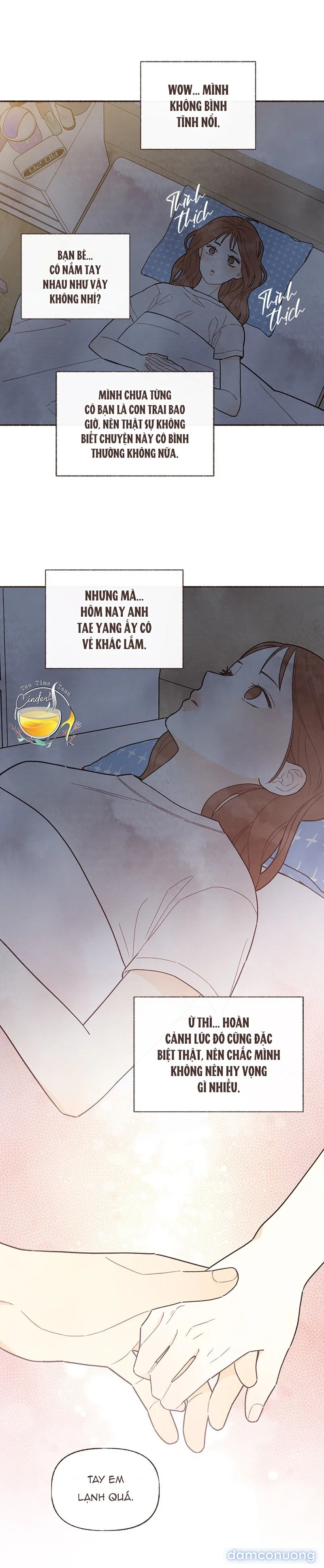 Cảm Xúc Chuyển Giao 