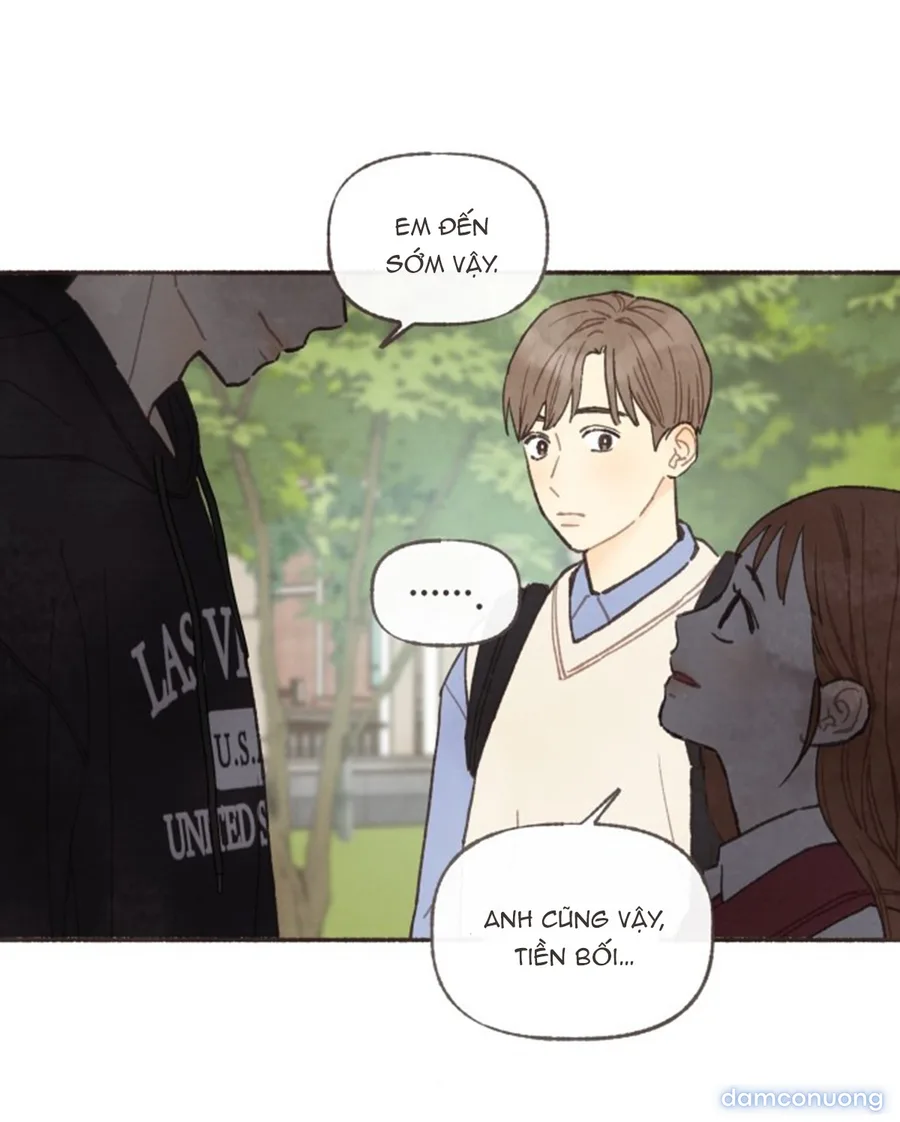 Cảm Xúc Chuyển Giao 