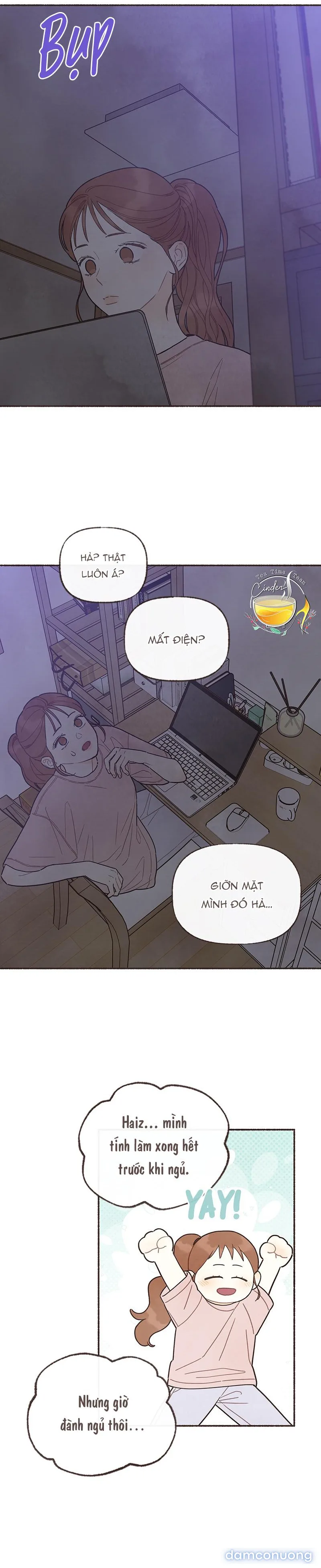 Cảm Xúc Chuyển Giao 