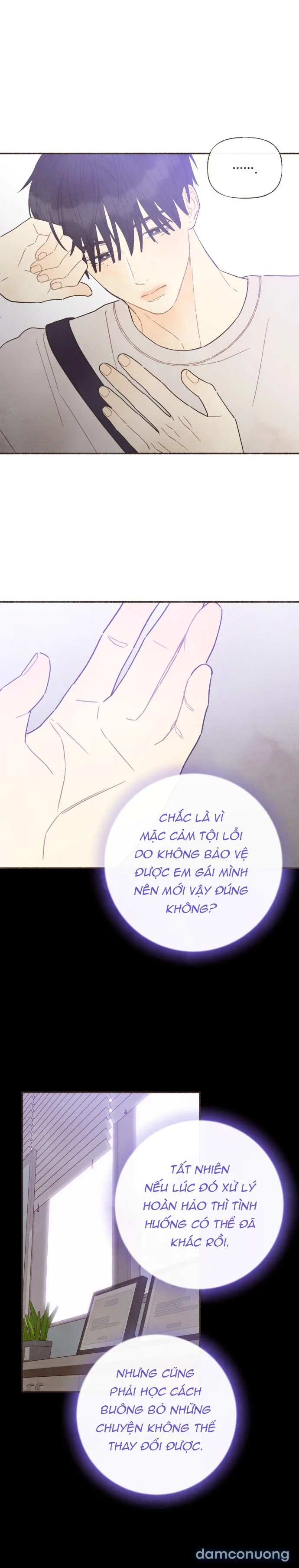 Cảm Xúc Chuyển Giao 