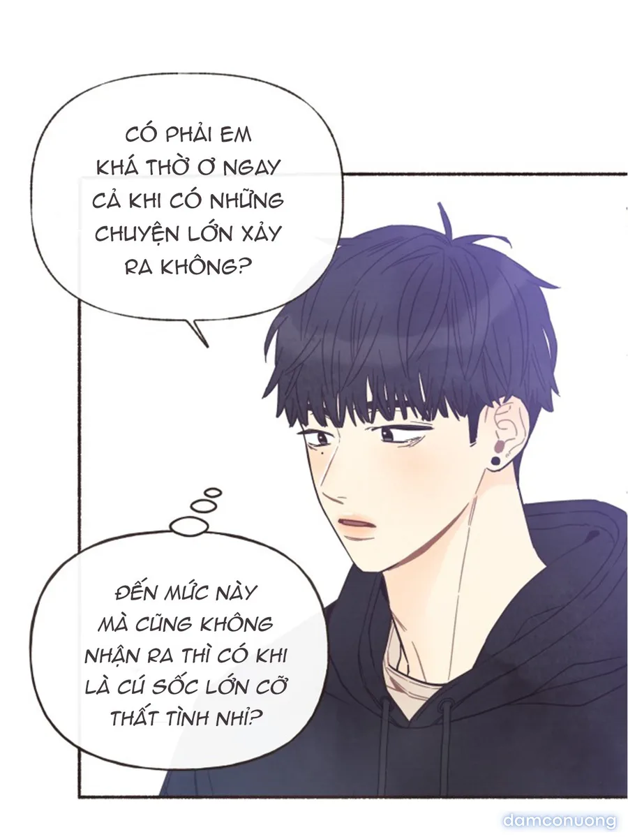 Cảm Xúc Chuyển Giao 