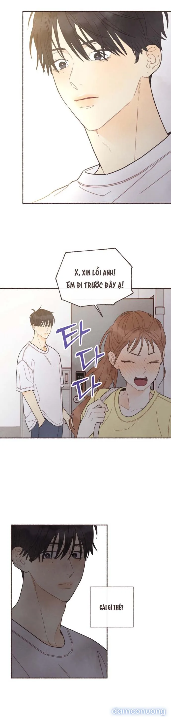 Cảm Xúc Chuyển Giao 