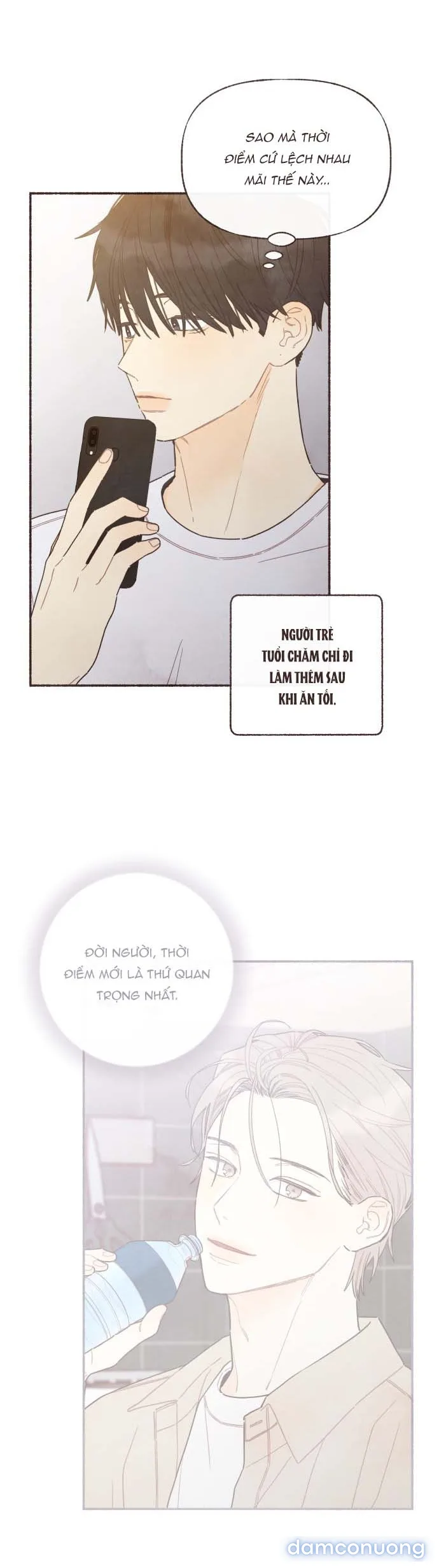 Cảm Xúc Chuyển Giao 