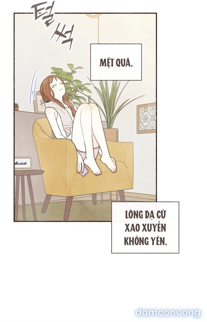 Cảm Xúc Chuyển Giao 