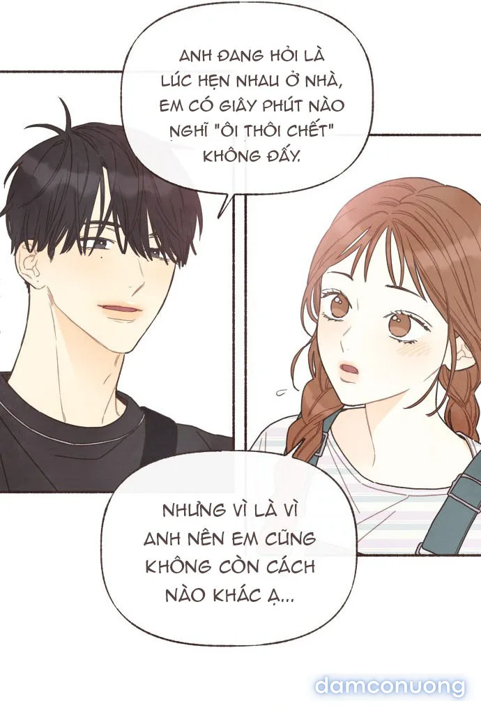 Cảm Xúc Chuyển Giao 