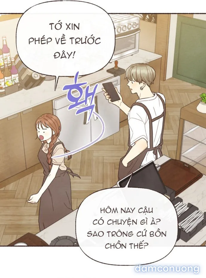 Cảm Xúc Chuyển Giao 