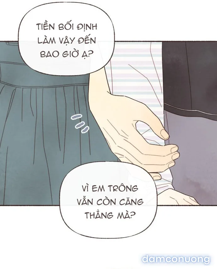 Cảm Xúc Chuyển Giao 