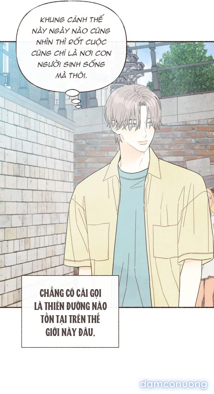 Cảm Xúc Chuyển Giao 