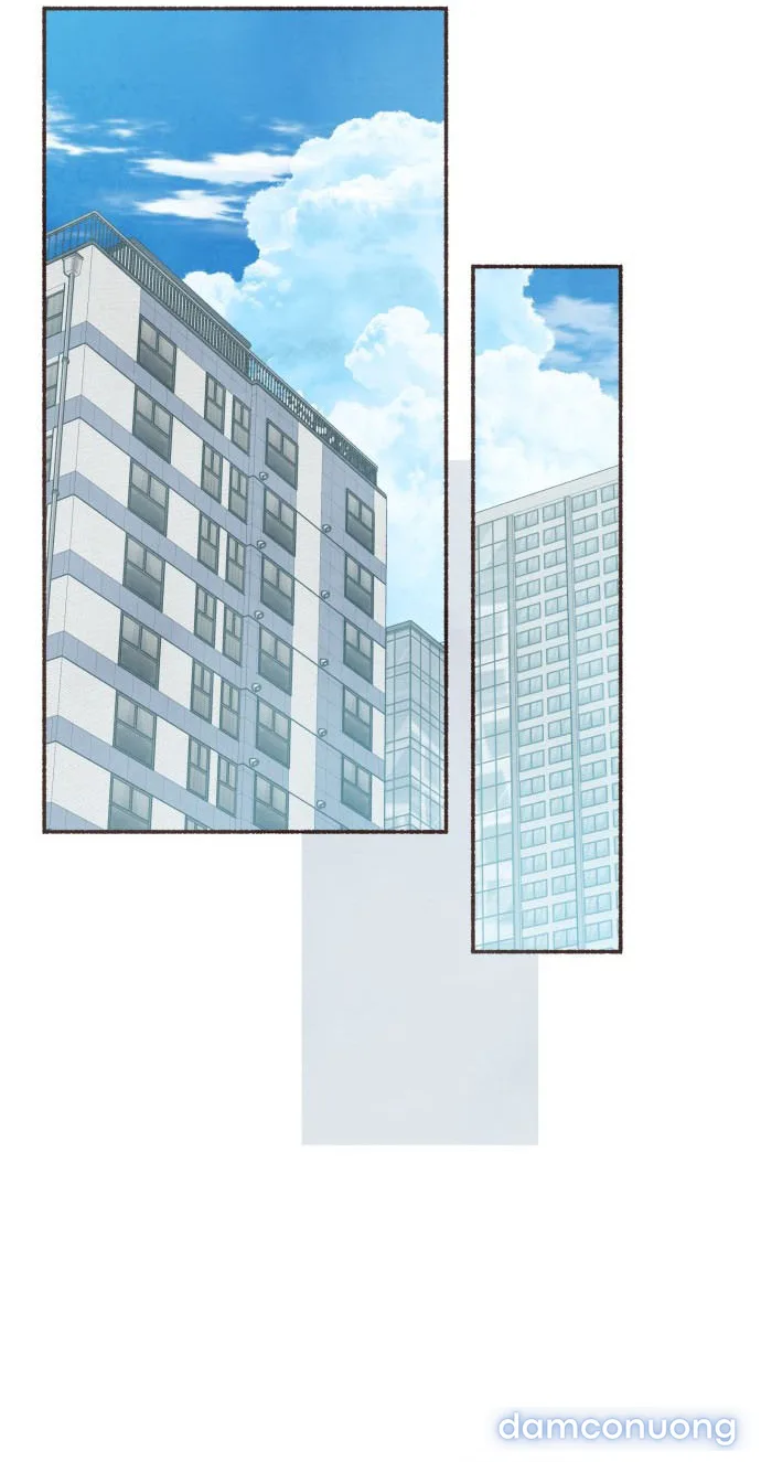 Cảm Xúc Chuyển Giao 