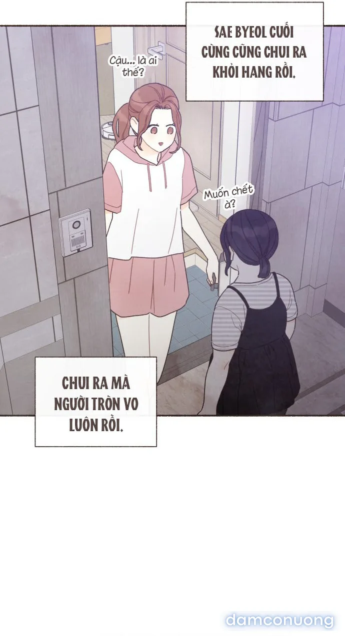 Cảm Xúc Chuyển Giao 