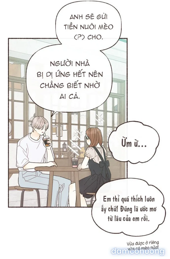 Cảm Xúc Chuyển Giao 