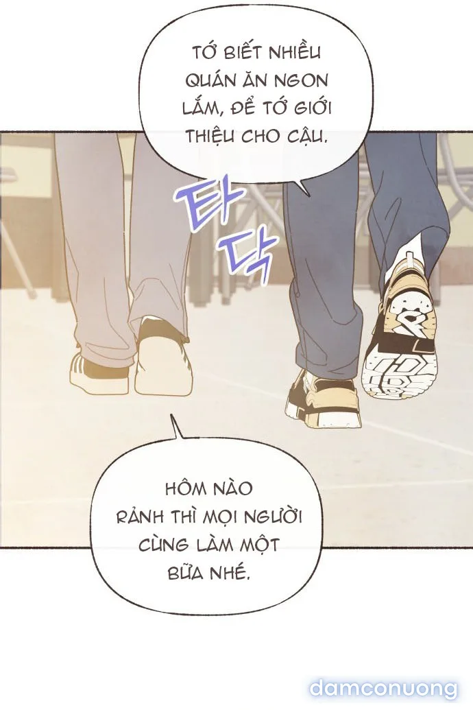 Cảm Xúc Chuyển Giao 